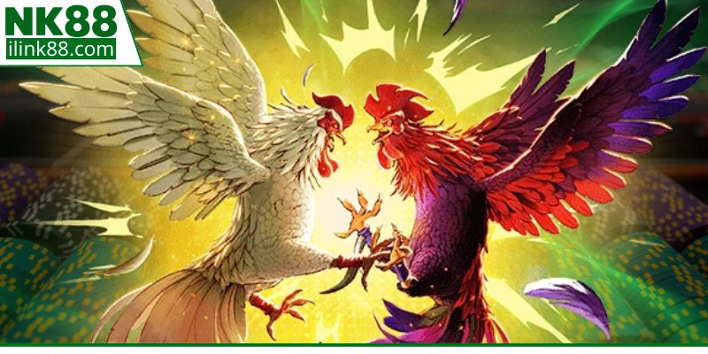 Các hình thức thi đấu kê chiến phổ biến