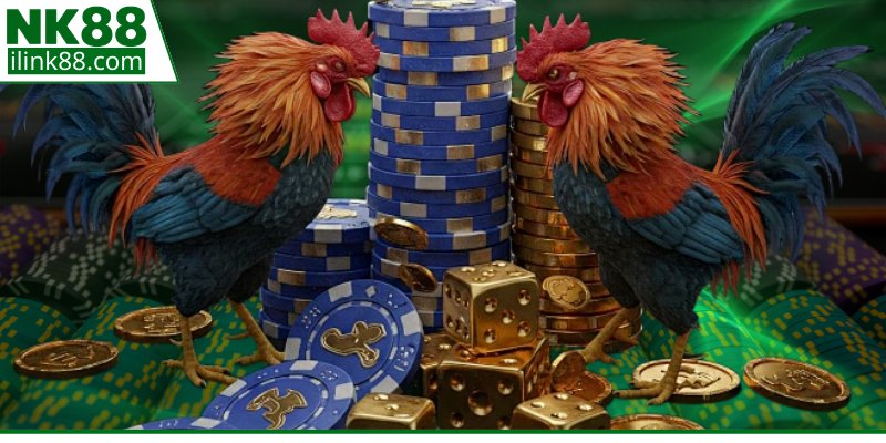 Các loại hình thi đấu gà chọi phổ biến