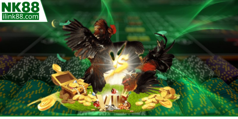 Những quy định cơ bản khi xem gà đá