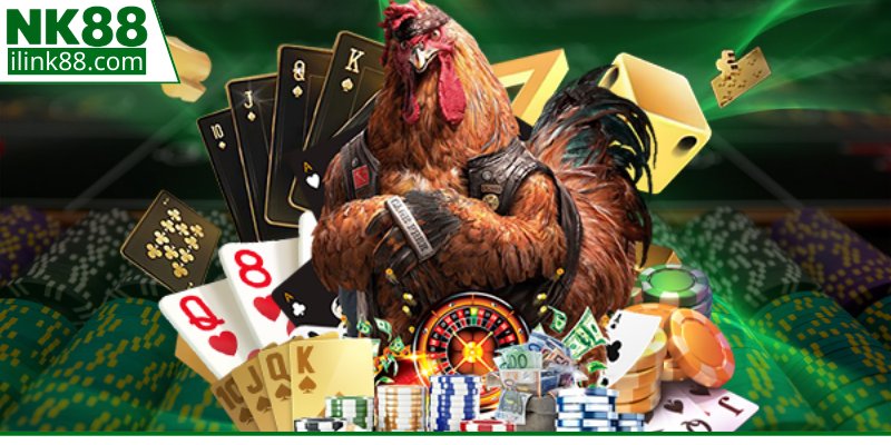 Quy trình thực hiện theo dõi trận gà trực tuyến